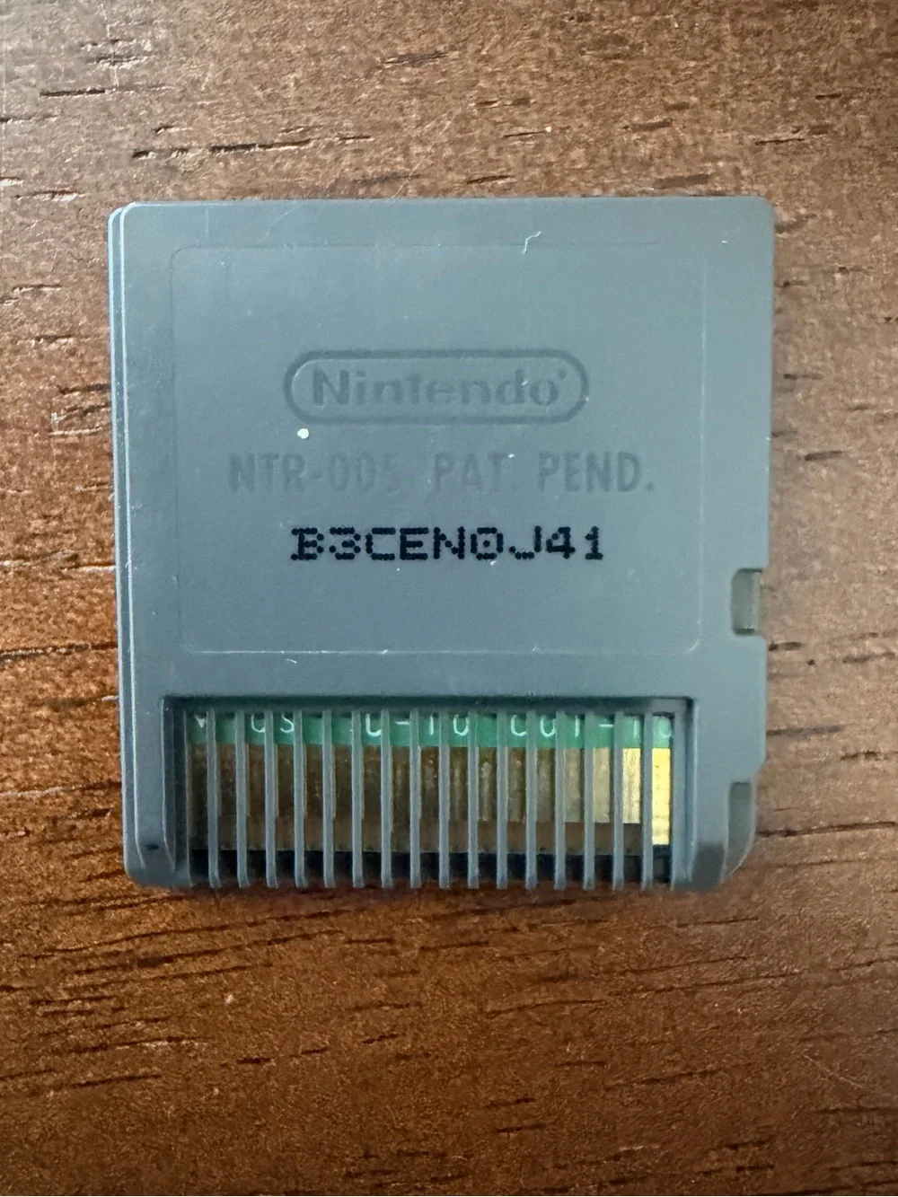 Nintendo ds cooking